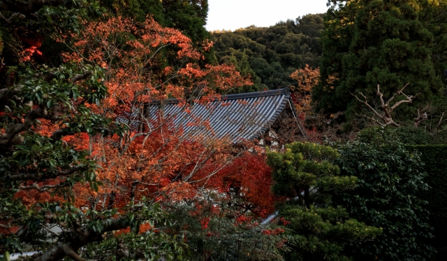 酬恩庵