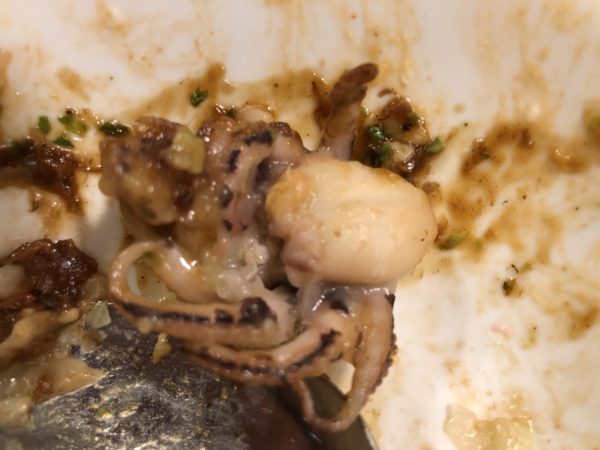 京都宝ヶ池きつね坂のたこ焼き屋「たこ将軍」のジャンボたこ焼きがスゴイ!