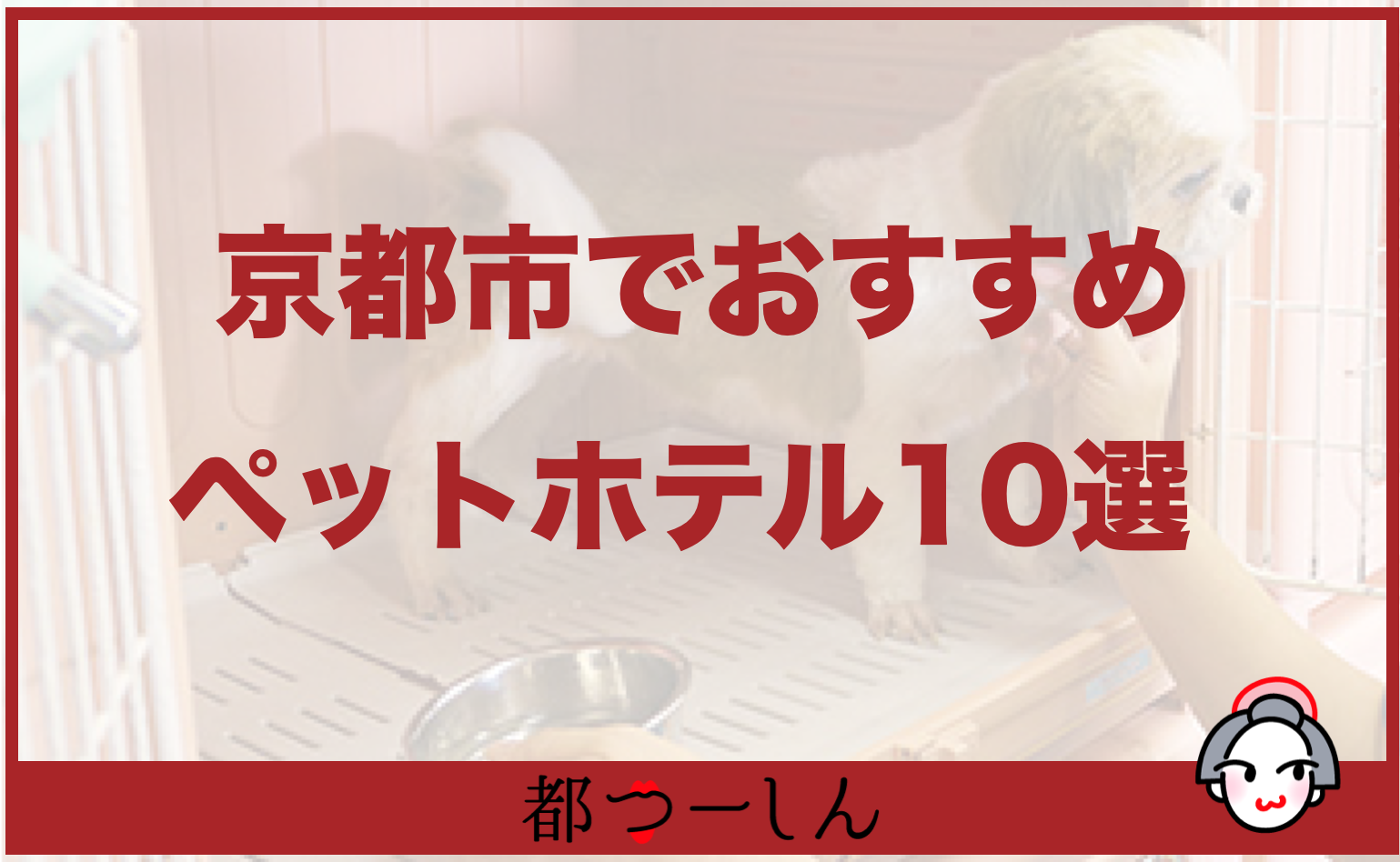 完全版 京都市でおすすめのペットホテル10選 価格帯や特徴などまとめ 都つーしん みやつー 都つーしん みやつー