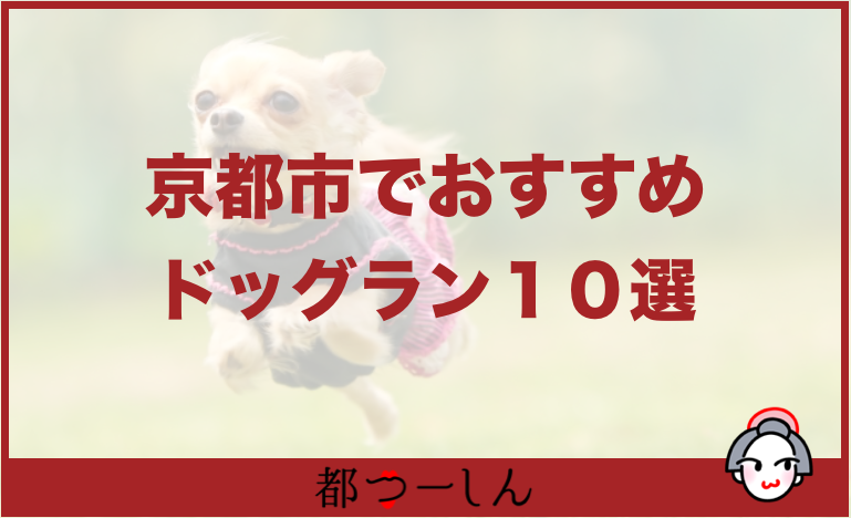 保存版 京都のおすすめドッグラン10選 営業時間や特徴まとめ 都つーしん みやつー 都つーしん みやつー