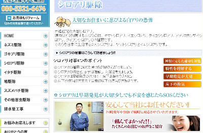 【完全版】京都でおすすめのシロアリ駆除10選！料金や見積もりなどのまとめ！