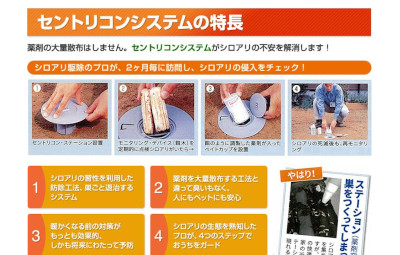 【完全版】京都でおすすめのシロアリ駆除10選！料金や見積もりなどのまとめ！