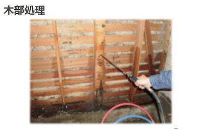 【完全版】京都でおすすめのシロアリ駆除10選！料金や見積もりなどのまとめ！