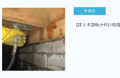 【完全版】京都でおすすめのシロアリ駆除10選！料金や見積もりなどのまとめ！