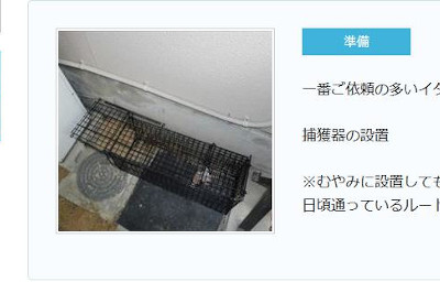 【完全版】京都でおすすめの害獣駆除10選！見積もりや特徴などのまとめ！