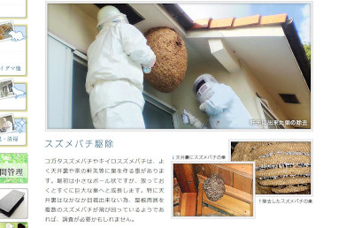 【完全版】危険作業は業者にお任せ！京都でおすすめの蜂駆除10選！見積もりや特徴などのまとめ！