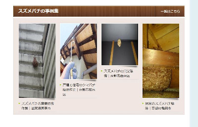 【完全版】危険作業は業者にお任せ！京都でおすすめの蜂駆除10選！見積もりや特徴などのまとめ！