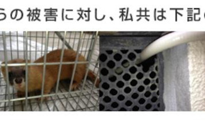 【完全版】京都でおすすめの害獣駆除10選！見積もりや特徴などのまとめ！