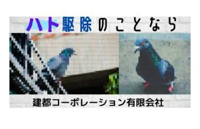【完全版】京都でおすすめの害獣駆除10選！見積もりや特徴などのまとめ！