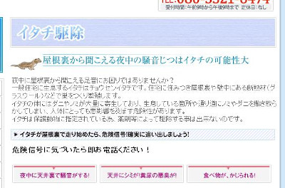 【完全版】狂暴な害獣を誰か止めて！京都でおすすめのイタチ駆除10選！保証や特徴などのまとめ！