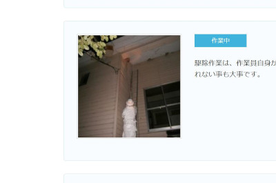 【完全版】危険作業は業者にお任せ！京都でおすすめの蜂駆除10選！見積もりや特徴などのまとめ！