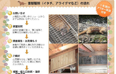 【完全版】狂暴な害獣を誰か止めて！京都でおすすめのイタチ駆除10選！保証や特徴などのまとめ！