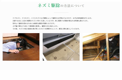 【完全版】すばしっこいアイツを一網打尽！京都でおすすめのネズミ駆除10選！見積もりや特徴などのまとめ！