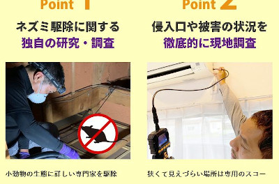 【完全版】京都でおすすめの害獣駆除10選！見積もりや特徴などのまとめ！