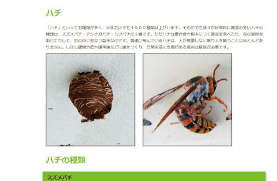 【完全版】危険作業は業者にお任せ！京都でおすすめの蜂駆除10選！見積もりや特徴などのまとめ！