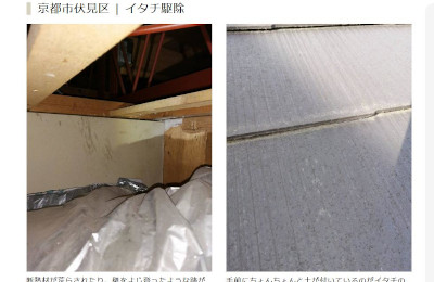 【完全版】京都でおすすめの害獣駆除10選！見積もりや特徴などのまとめ！