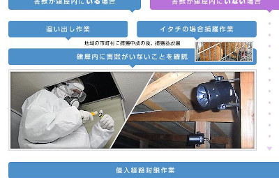 【完全版】狂暴な害獣を誰か止めて！京都でおすすめのイタチ駆除10選！保証や特徴などのまとめ！