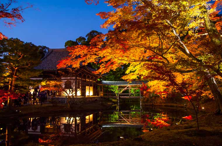 【2021年最新版】京都のおすすめ紅葉ライトアップ名所13選！最新情報と見頃まとめ