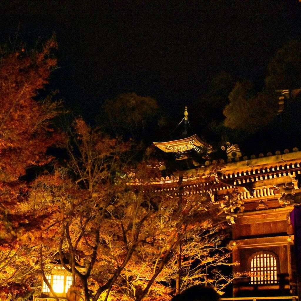【2021年最新版】京都のおすすめ紅葉ライトアップ名所13選！最新情報と見頃まとめ