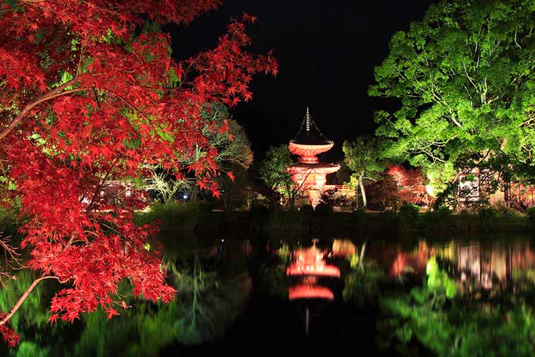 【2021年最新版】京都のおすすめ紅葉ライトアップ名所13選！最新情報と見頃まとめ
