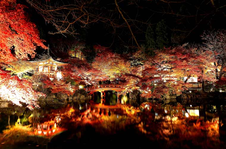 【2021年最新版】京都のおすすめ紅葉ライトアップ名所13選！最新情報と見頃まとめ