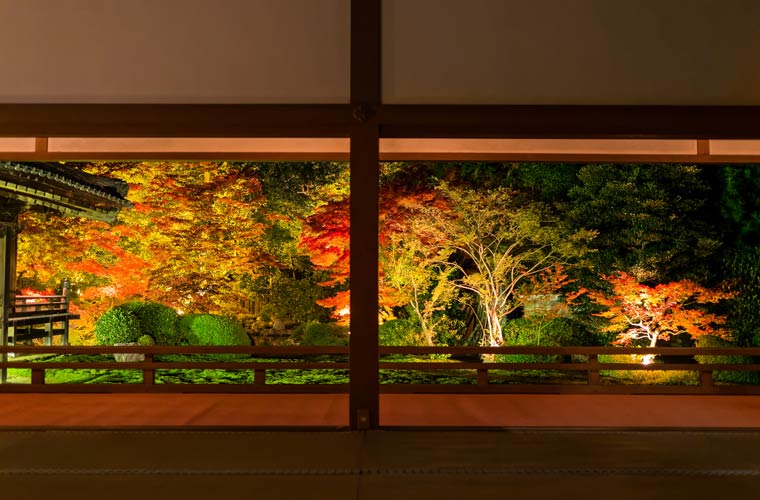 【2021年最新版】京都のおすすめ紅葉ライトアップ名所13選！最新情報と見頃まとめ