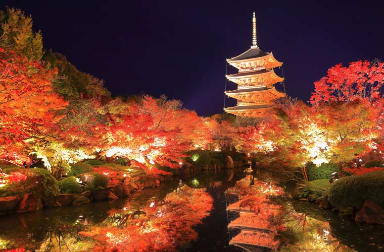 【2021年最新版】京都のおすすめ紅葉ライトアップ名所13選！最新情報と見頃まとめ