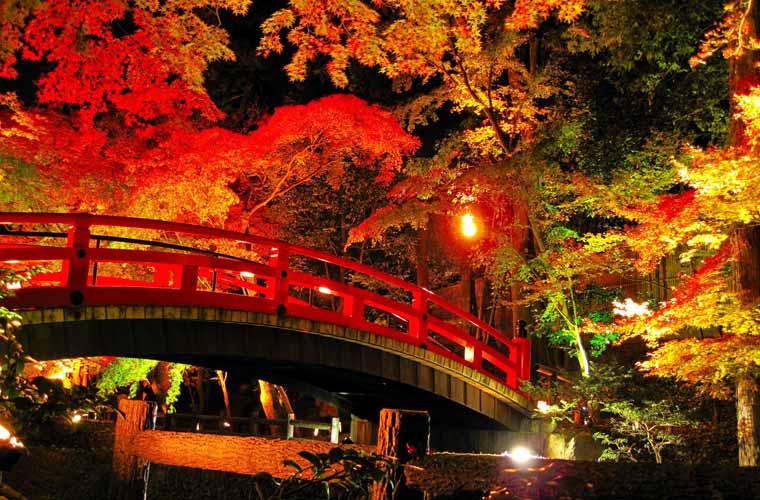 【2021年最新版】京都のおすすめ紅葉ライトアップ名所13選！最新情報と見頃まとめ