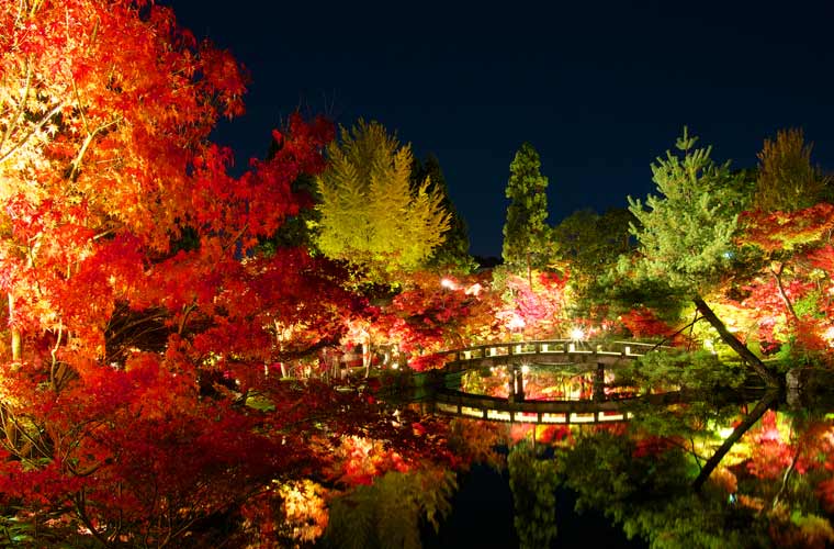 【2021年最新版】京都のおすすめ紅葉ライトアップ名所13選！最新情報と見頃まとめ