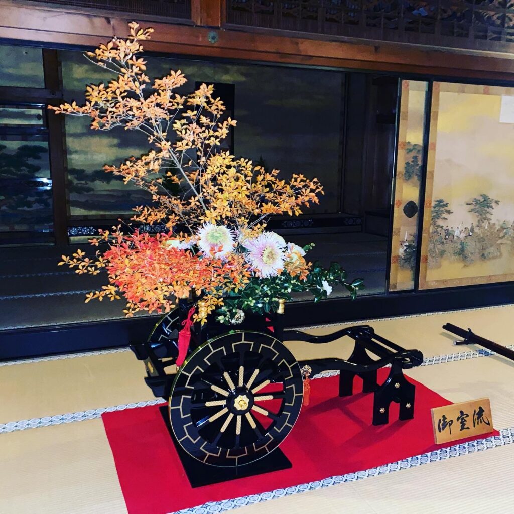 【ダイナースクラブ会員限定】京都で世界遺産 仁和寺 ライトアップ特別貸切拝観に行ってみた
