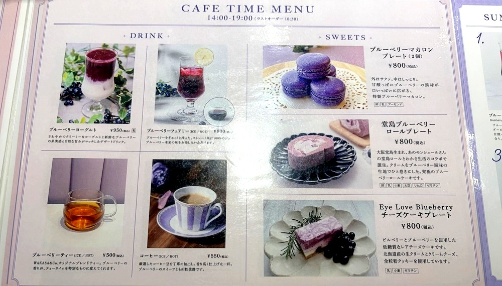 【京都グルメ】ブルーベリーアイで有名なわかさ生活が手掛けたブルーベリー専門店 WAKASA＆Co. BLUEBERRY CAFEに行ってみた｜下京区