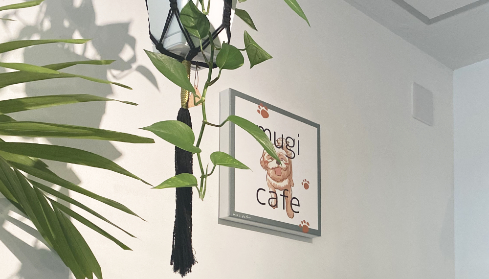 【京都グルメ】犬好き店主のアットホームカフェ mugicafeに行ってみた｜北区