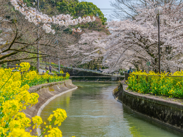 山科区｜京都のニュース・イベント・お店など地域情報が満載！都つーしん（みやつー）