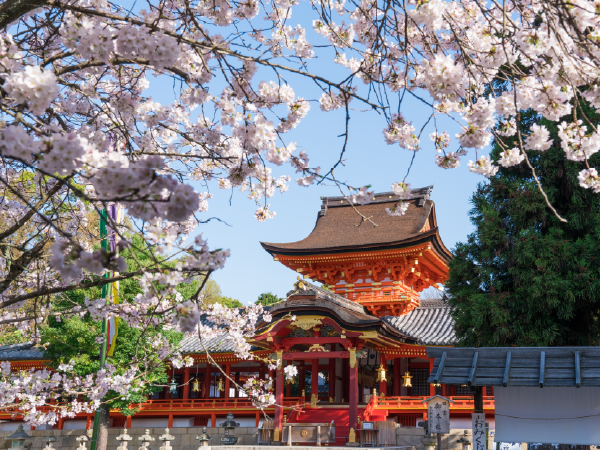 八幡市｜京都のニュース・イベント・お店など地域情報が満載！都つーしん（みやつー）