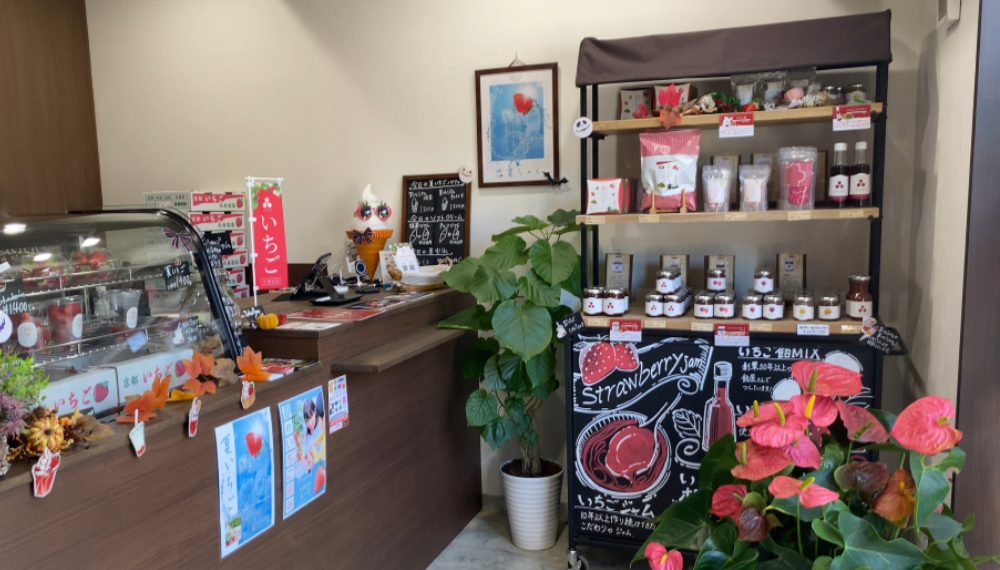 【京都・東山区】いちご生活 京都七条本店|関西最大級のいちご農園「おさぜん農園」直営!ここでしか味わえない絶品いちごスイーツ【京都グルメ】