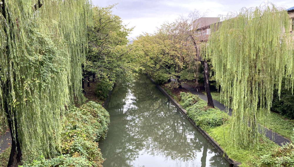 【京都・伏見区】Cafe Sorella｜宇治川を眺められるほっこり癒しカフェ【京都グルメ】