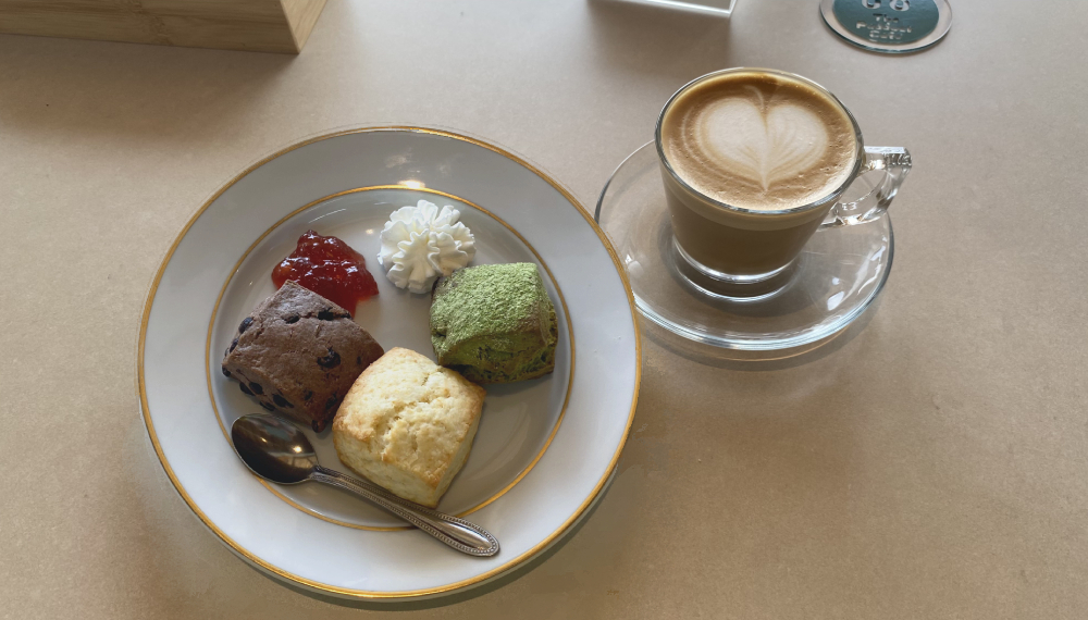【京都・南区】The Paddock Cafe｜馬好き必見！公園内の広々カフェ【京都グルメ】