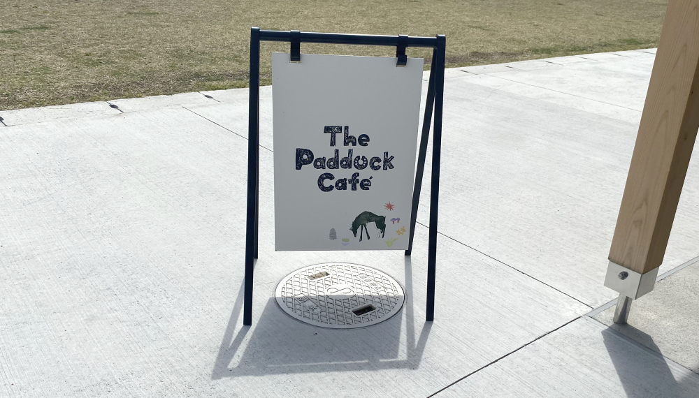【京都・南区】The Paddock Cafe｜馬好き必見！公園内の広々カフェ【京都グルメ】